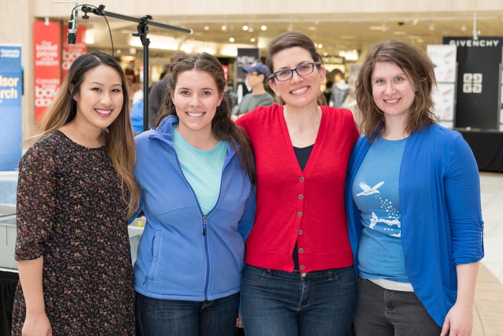 Honours thesis example image