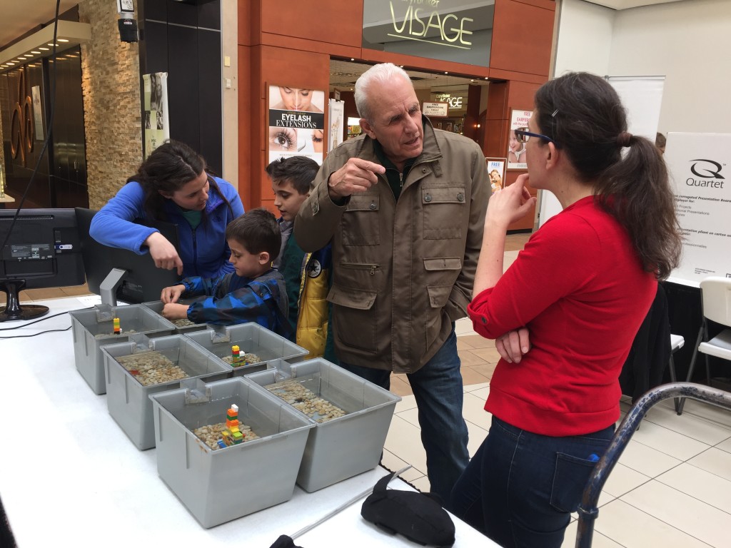 Biology dissertation examples image