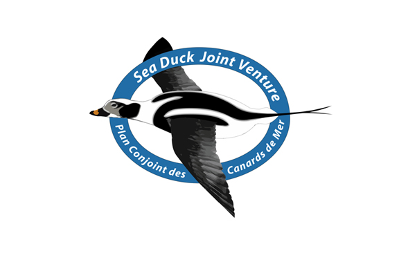 Sea Duck Joint Venture
